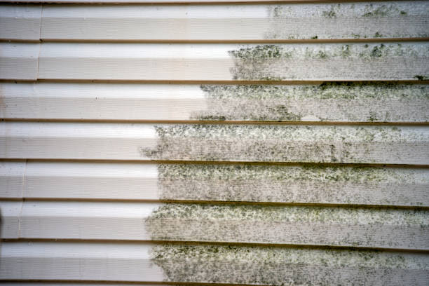 Best Hoarding Cleanup  in Tustin, CA
